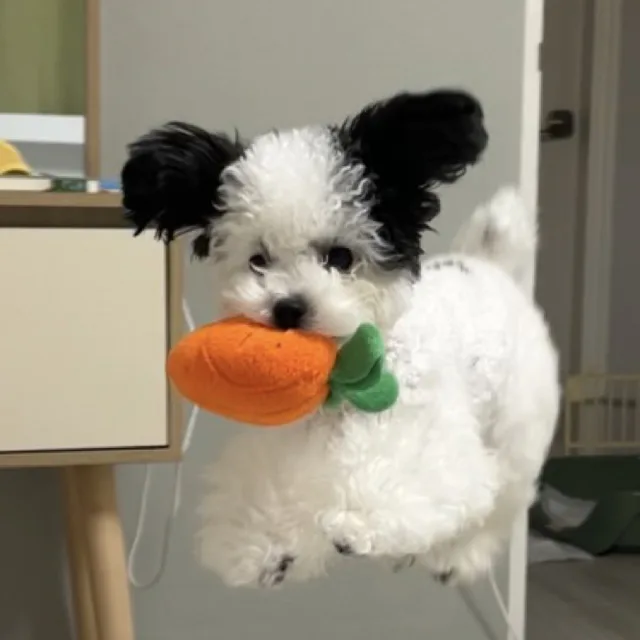 예히