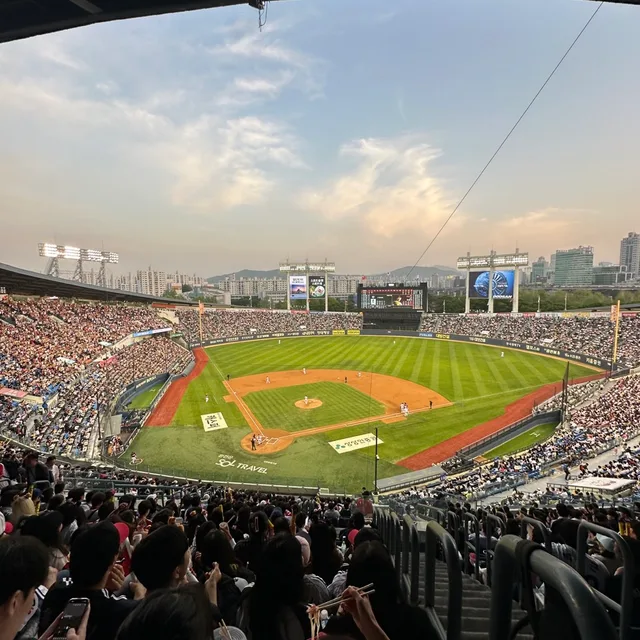 고오래돼지