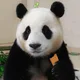 쿵쿵