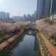 더블루