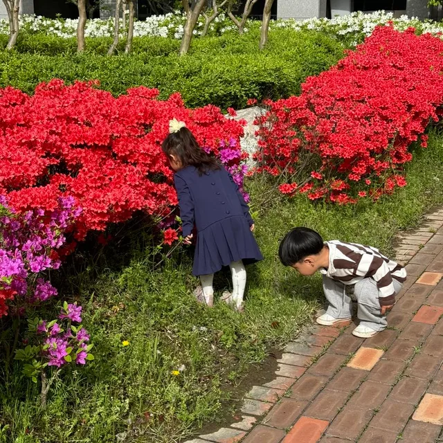 세둥이네