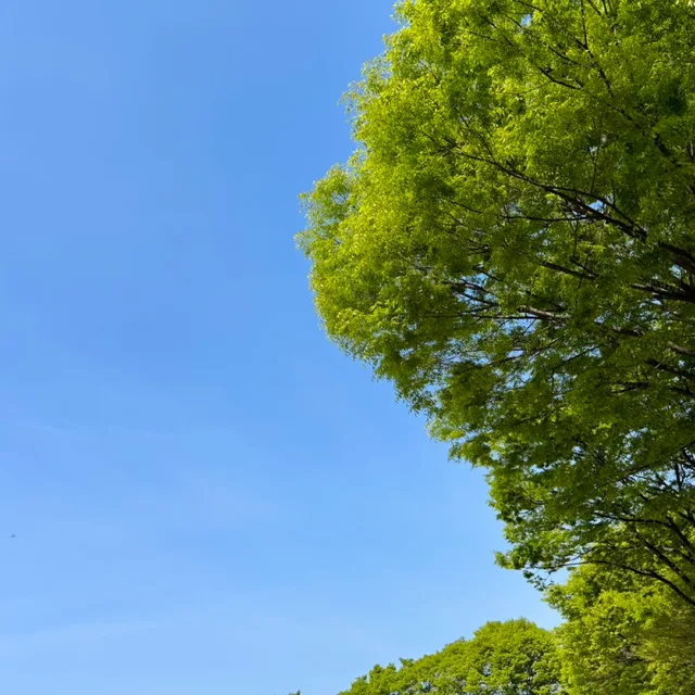 퐁퐁