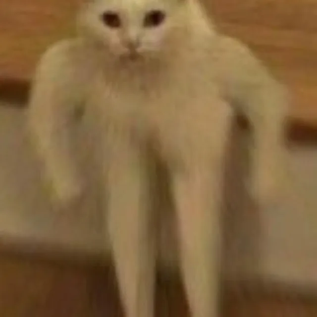 햇밤토리