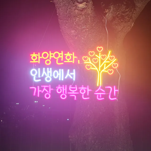 퍼플you