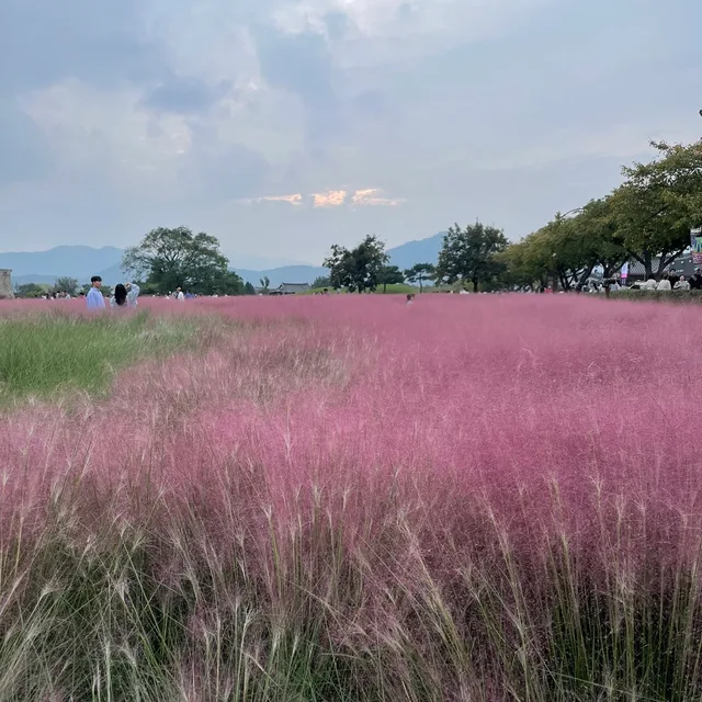 쭤뿨쭤뿨