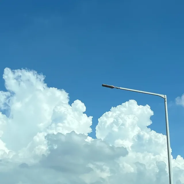 당근당근바니