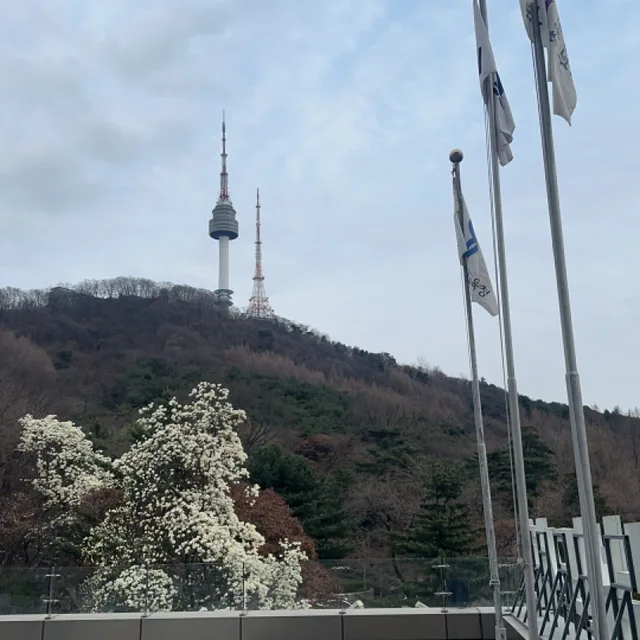 필동거주자한명