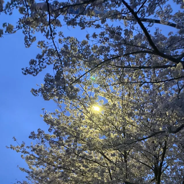 포PO
