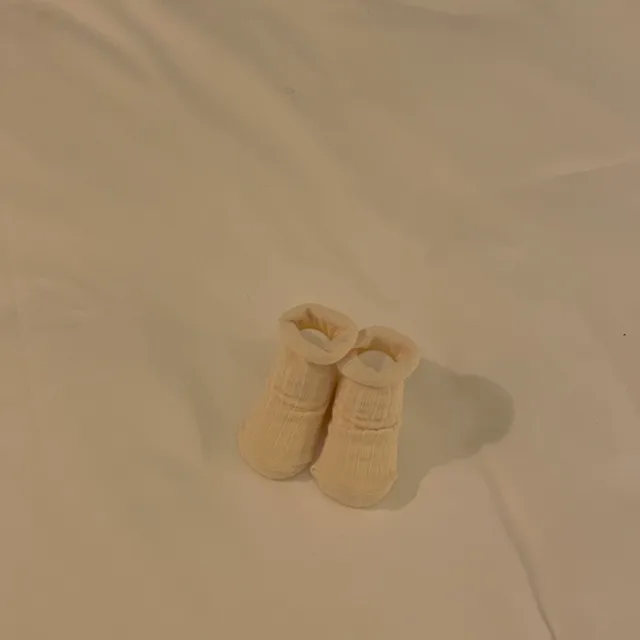 보리제리