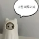 츄잉