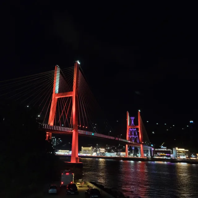 공릉나니