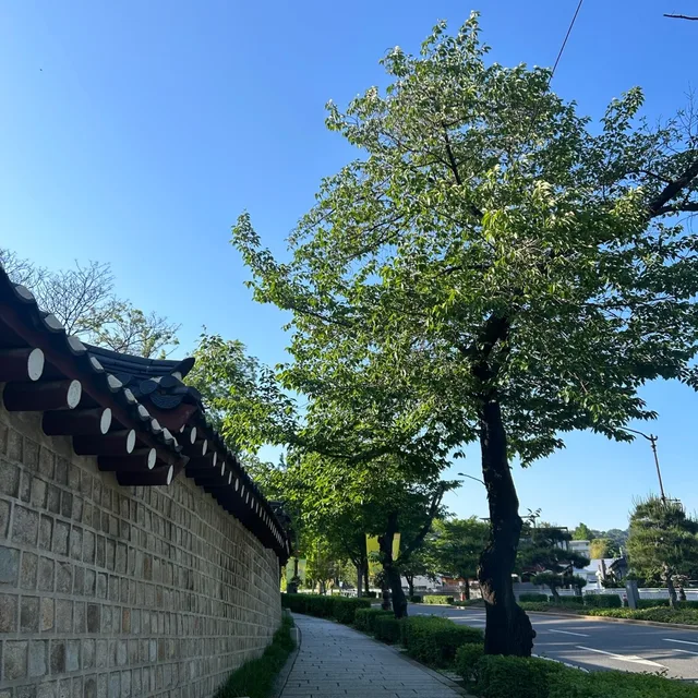 연두