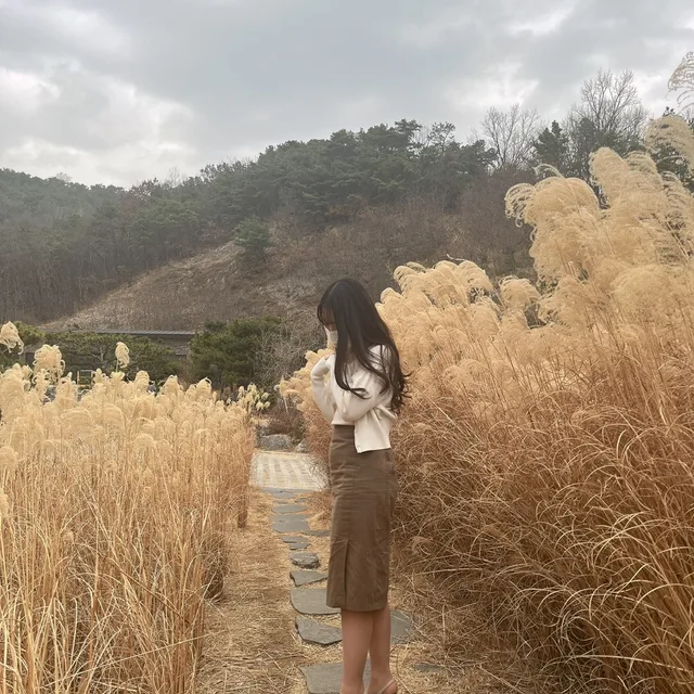두야