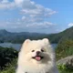 훈스