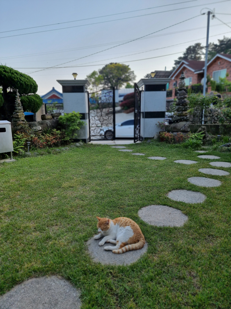 라리
