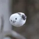 구름인데예