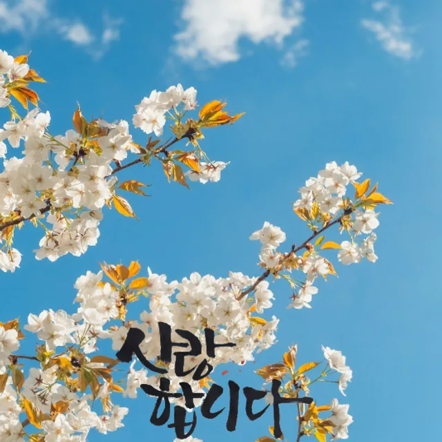 잎새소리