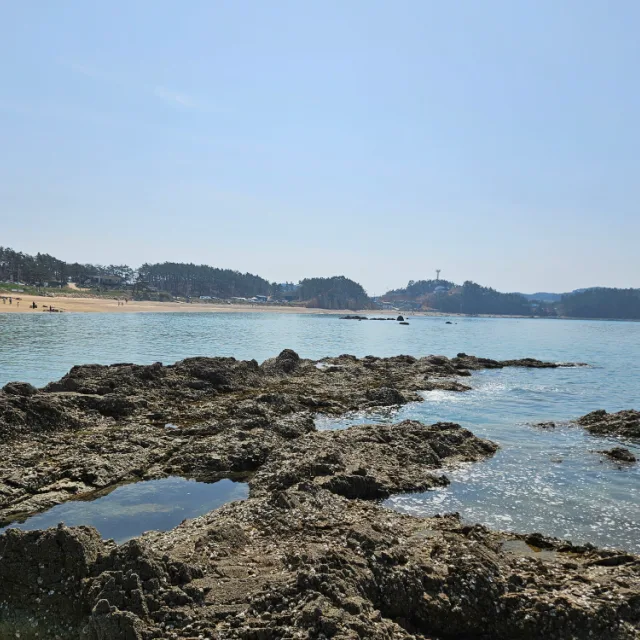 네모