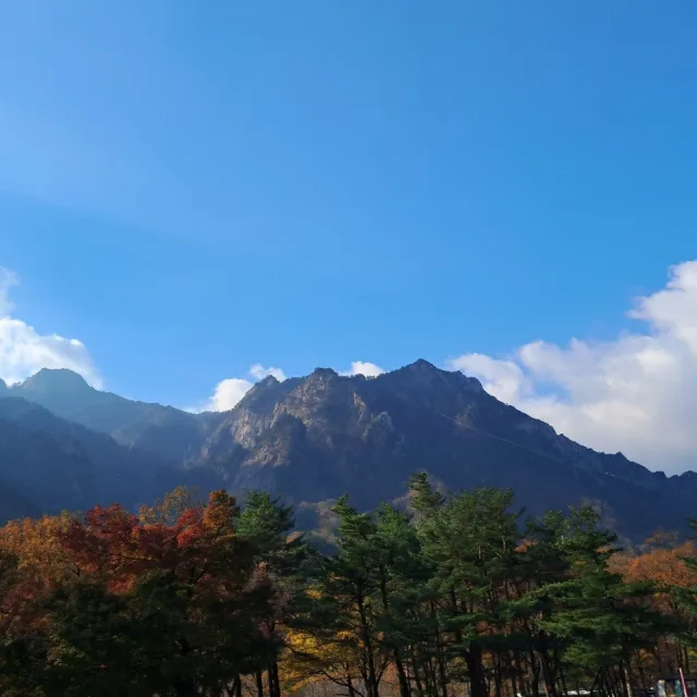 적토마