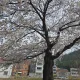 소소한행복