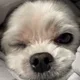 랄랄