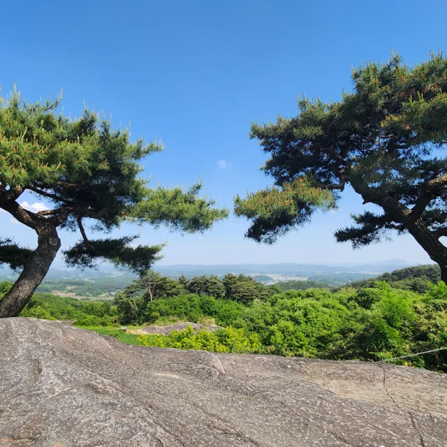 시크한촌놈