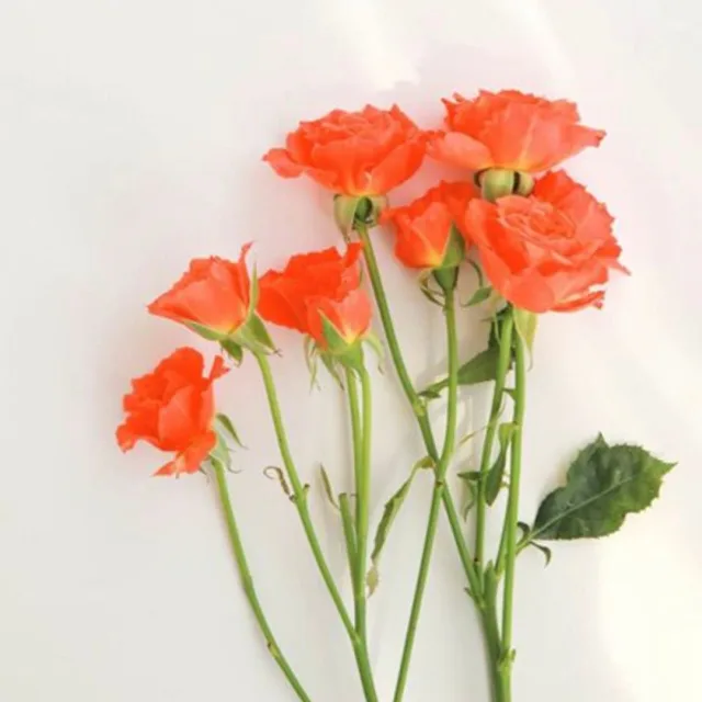 까칠한준혁맘반말금지