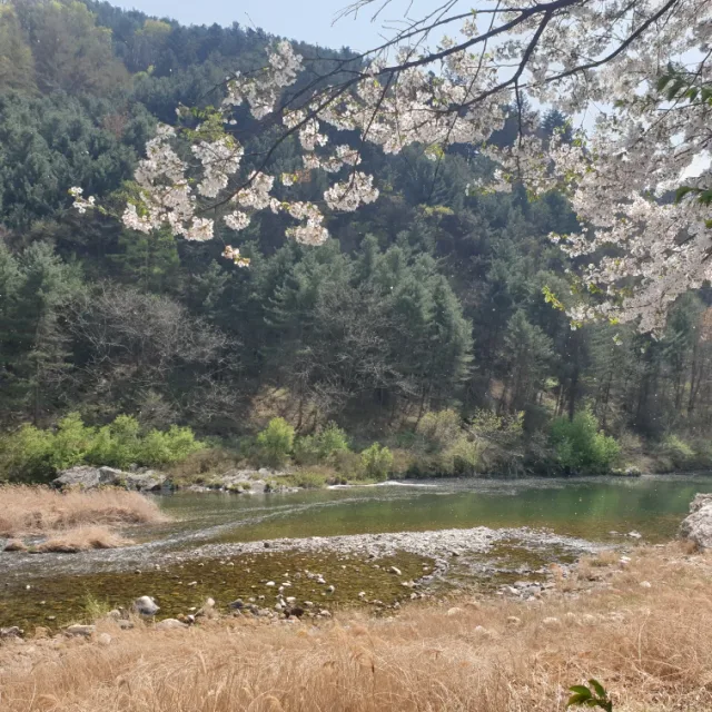 빼빼로