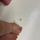 당근말이