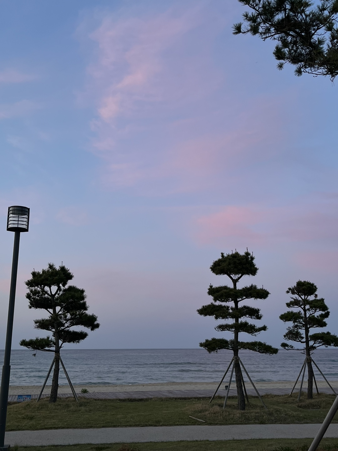 빌리