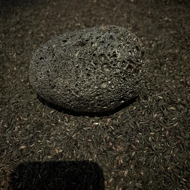지하냐