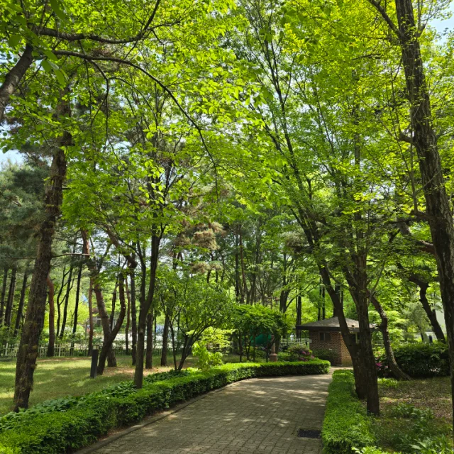 푸름푸름