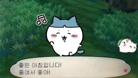 가격제안거의다받음