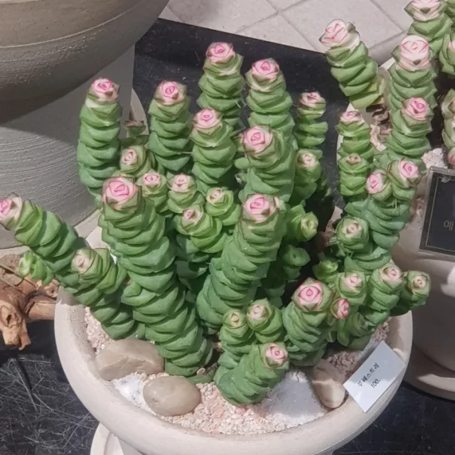 바람소리