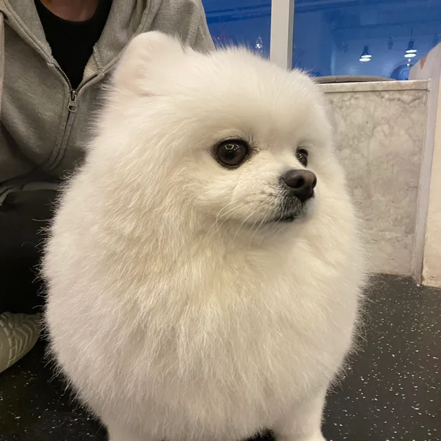 음음