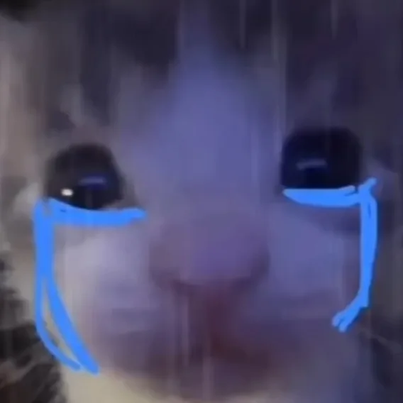 데헷콩