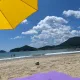 빵봉투