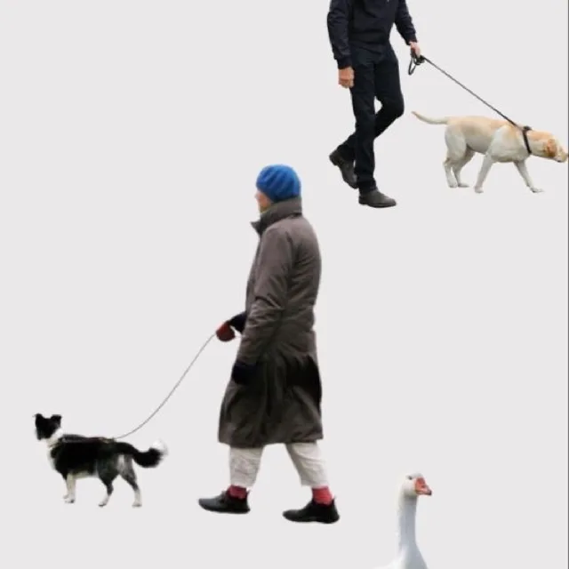 notmydog