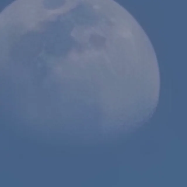 살림내다팔기