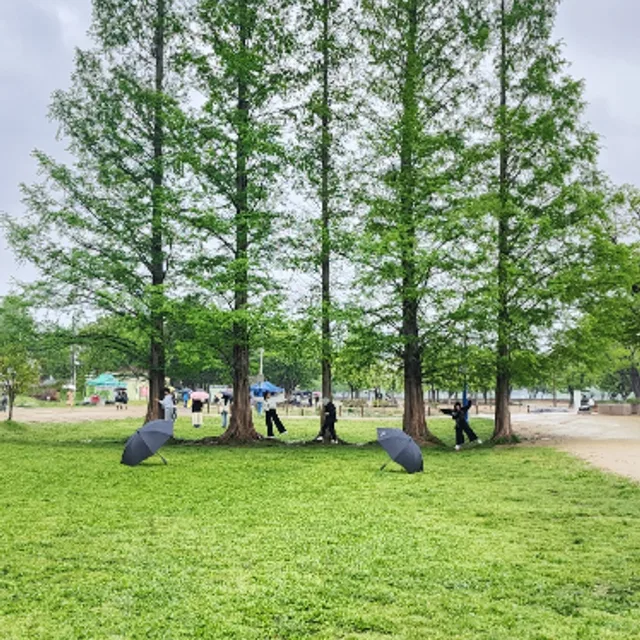 당근친구