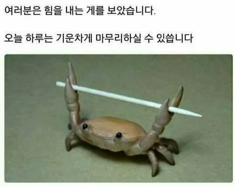 water양제