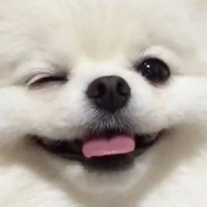 얌얌