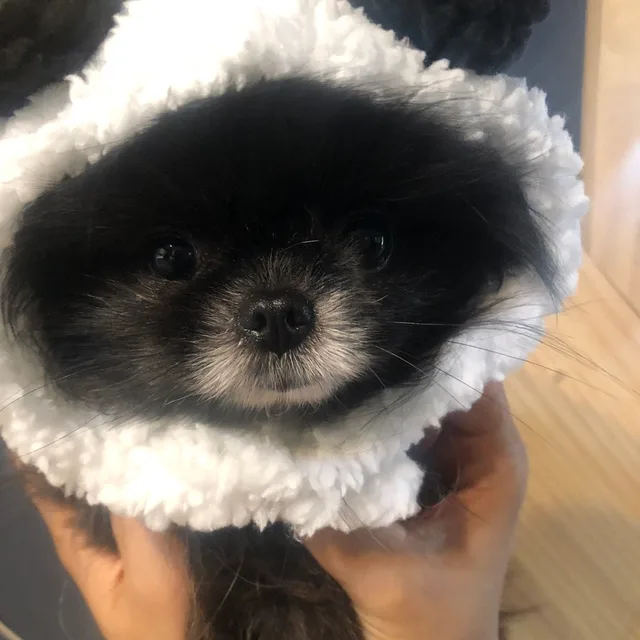 대야미