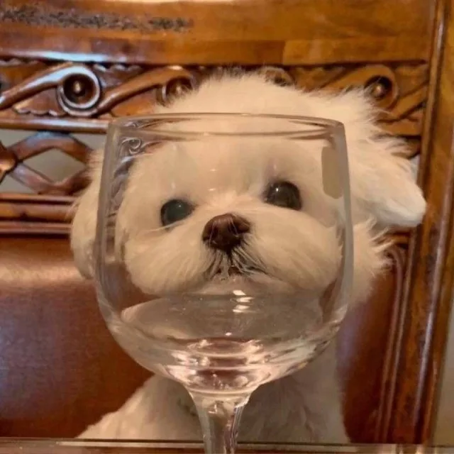용이