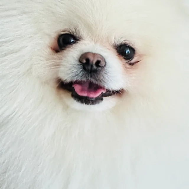 스타일난다