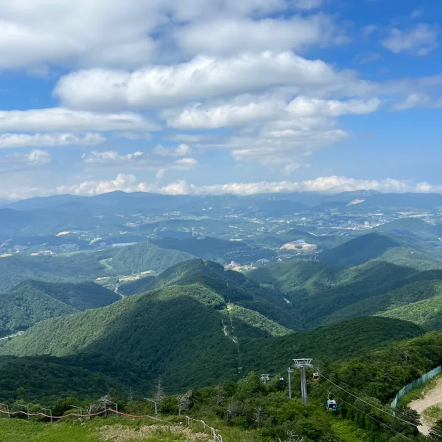 달토끼