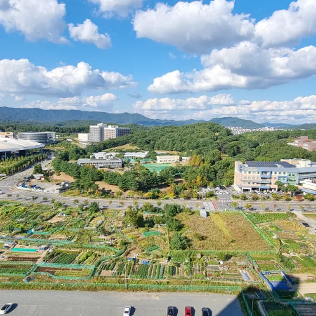 보르미