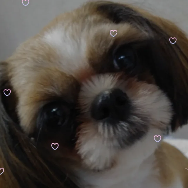 뭉이