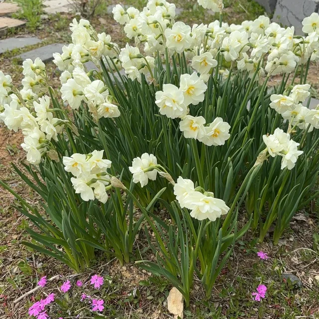 영화좋아