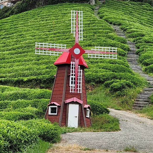 졸업
